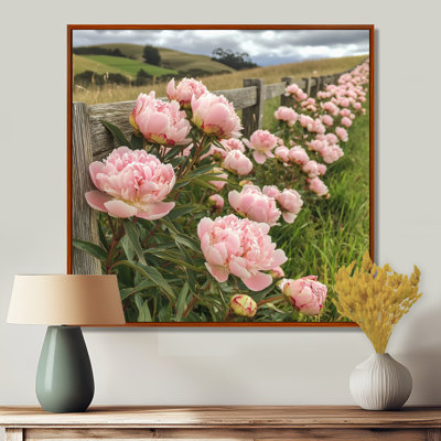Photo de pivoines dans le enclos à cheval II - pivoines, art mural