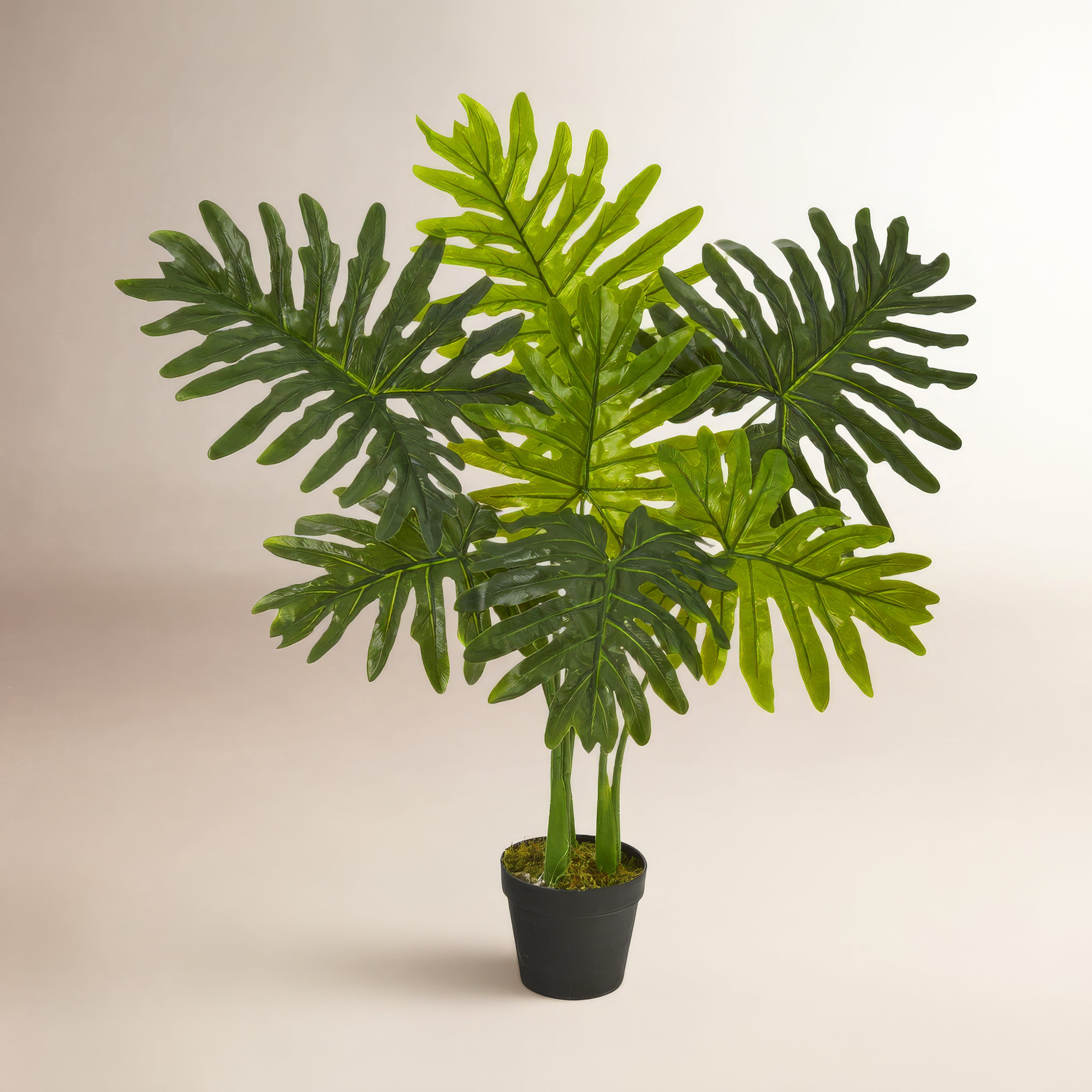 Faux Philodendron Plant in Nursery Pot, 36" H x 21" W x 17" D