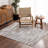 Malkhas Modern Broken Striped Charcoal Area Rug-2111894856