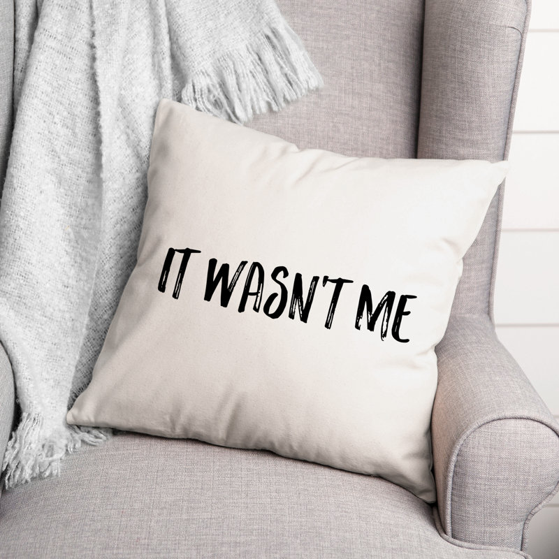 Coussin It It Was not Me, 20 po x 20 po