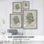 Impression florale vintage encadrée CXLII - bois massif-517389797