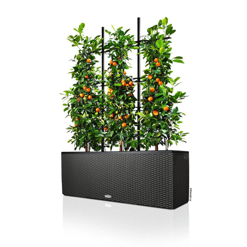 Trio Planter Box, 34cm H x 100cm W x 32cm D, Granite
