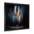 Black Picture Framed selected