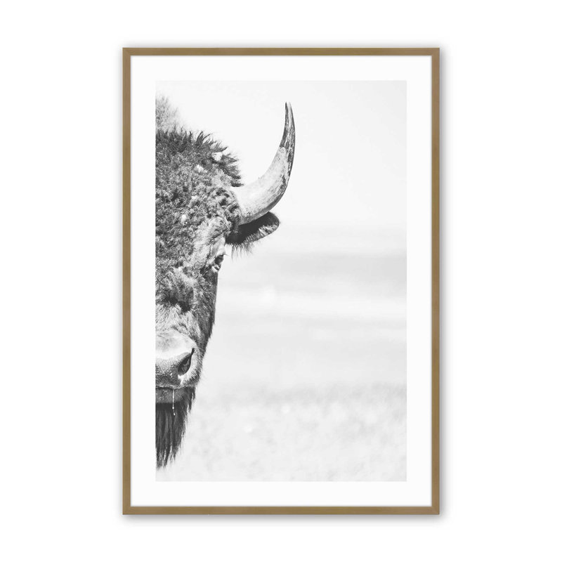 Wild Stare Print, Brushed Gold Framed, 21.25" H x 17.25" W x 1.25" D