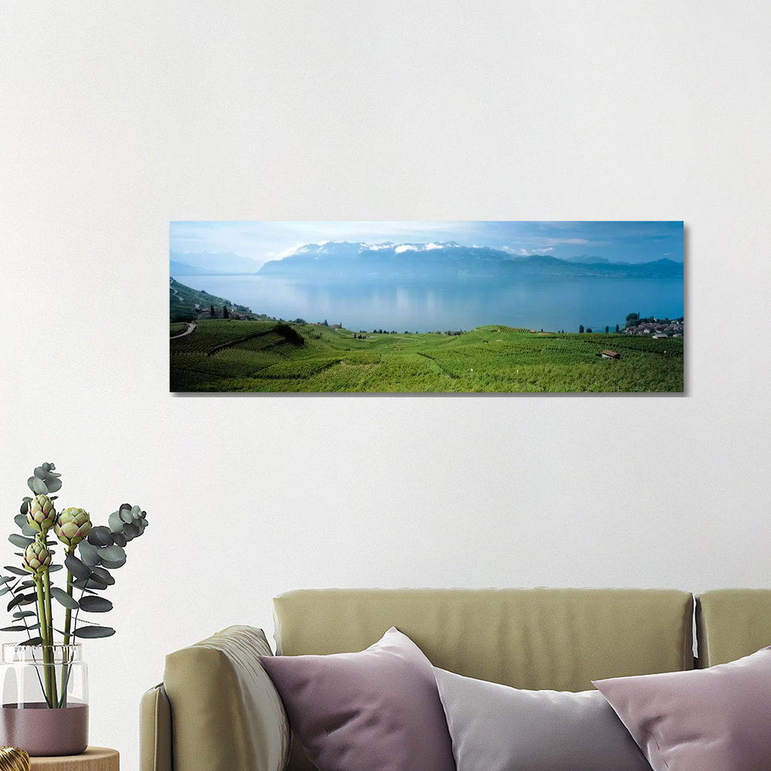 Vineyard Terraces & Lake Geneva, Lavaux, Vaud, Switzerland by Panoramic Images - Wrapped Canvas Panoramic Print