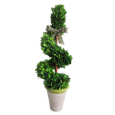 20.87'' Faux Boxwood Topiary in Ceramic Pot