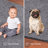 Amberlee Indoor Rug