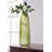 Benildis Glass Table Vase