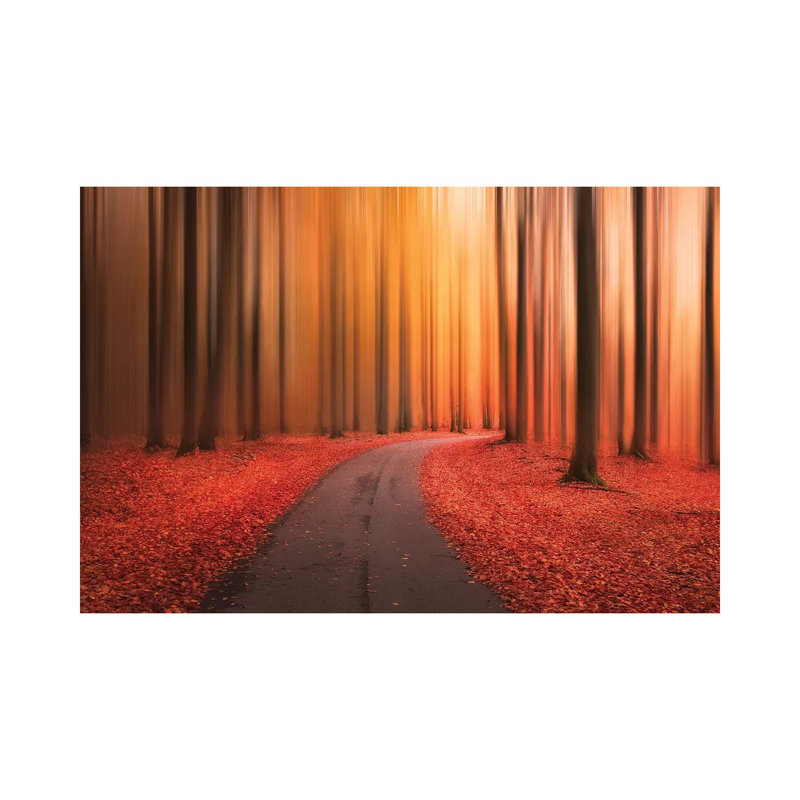 Path To Unknown by Christian Lindsten - Wrapped Canvas Print, 20.32 cm H x 30.48 cm W
