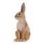 Lombardi Hare Sitting