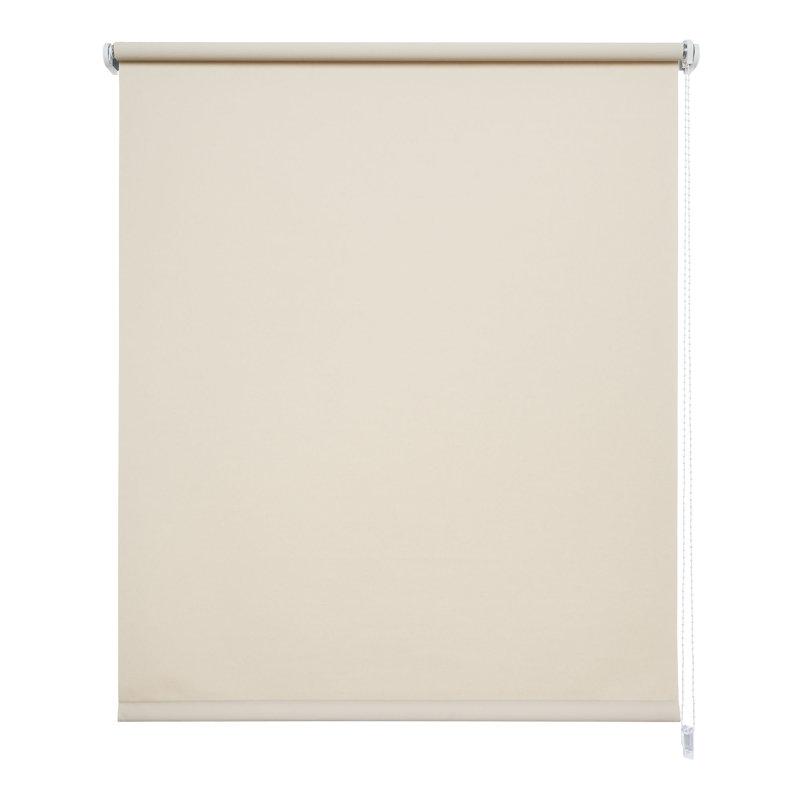 Opaque, 122 x 180cm, Cream