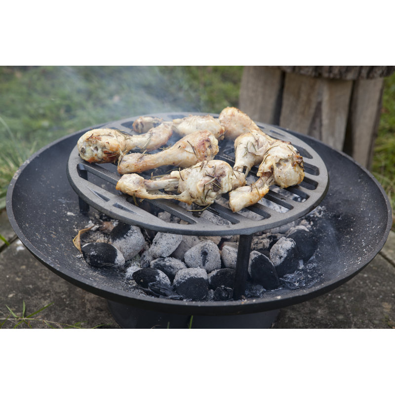 Fire Pit Grill