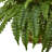 33'' Faux Fern Plant in Wicker Basket
