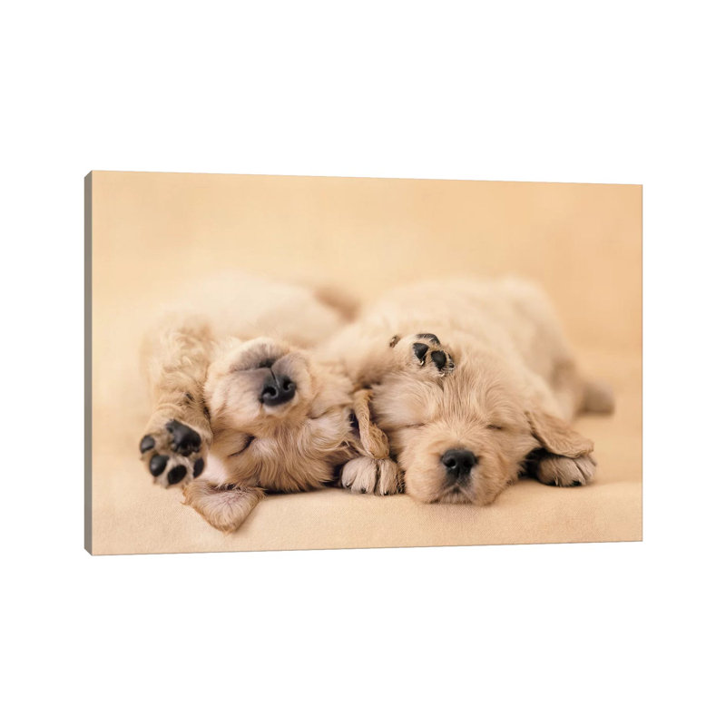 Jay And Connie by Rachael Hale - Print on Canvas, Wrapped Canvas, 66.04 cm H x 45.72 cm W x 3.175 cm D