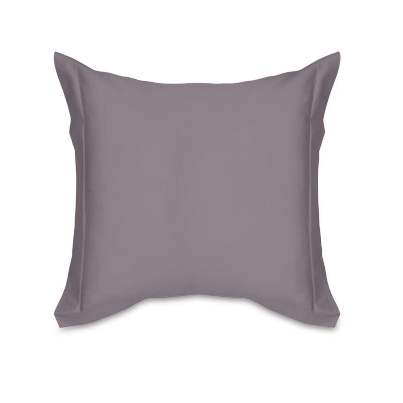 Raffaello Sham, Euro Sham, Thistle