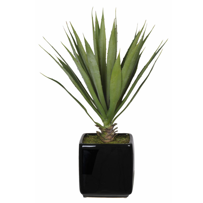 18'' Faux Yucca Succulent in Ceramic Pot