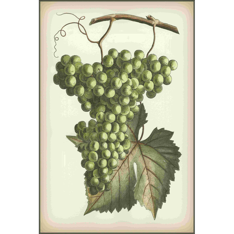 Raisins verts II, H 18 po x l 12 po