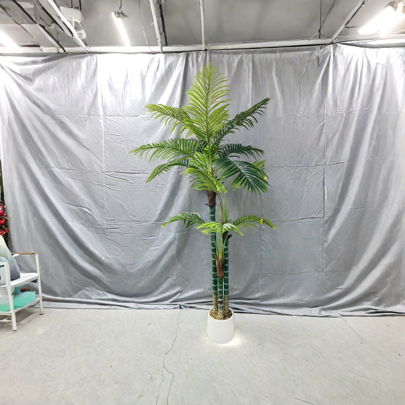Multiple Palm Trees Used For Home Decoration, 70.87" H x 23.62" W x 23.62" D