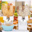 Leach Food Storage Container