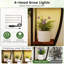 Plant Stand
