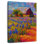 Alvord Rural Iris Field I