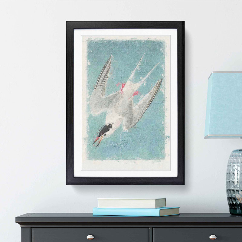 Roseate Tern Bird by John James Audubon - Picture Frame Painting Print, Black, 60cm H x 40cm W x 2cm D