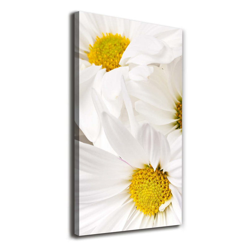 Daisies - Wrapped Canvas Print