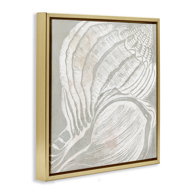 «Beige Conch» par Carol Robinson, Cadre flottant métallique doré, H 18 po x l 18 po