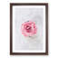 Lone Pink Rose - Framed Print-56852811-56852820