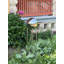 Balle fixante Carstarphen-413079630