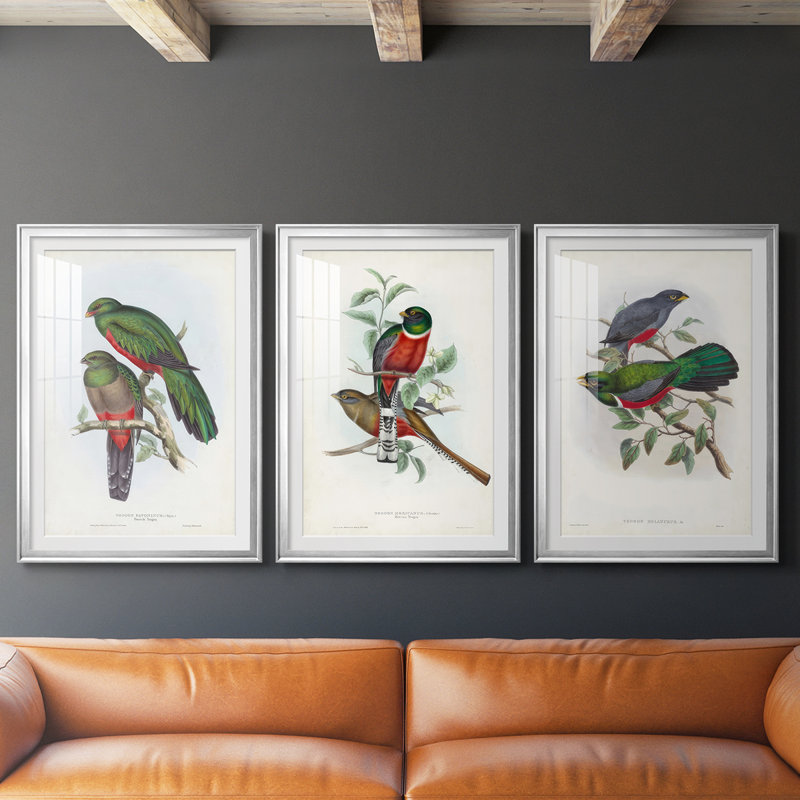 Gould Tropical Birds I - Impression personnalisée de qualité supérieure avec cadre mat - 3 pièces, Argent argent