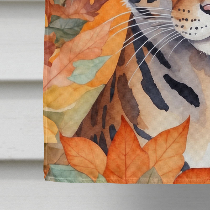 Chat en feuilles d'automne, Safari