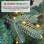 Arbre de Noël illuminé-1010865190