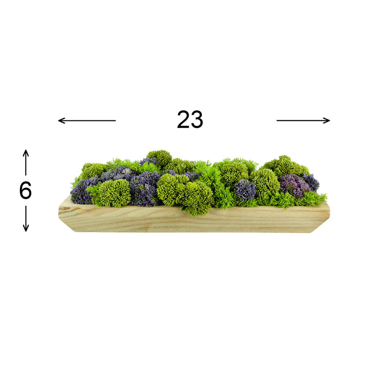 Sedum and Moss Arranged in Wood Planter, Purple