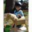 Harriet Bee Gwion Outdoor Kids Game