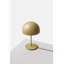 Pin Lamp-1426218531