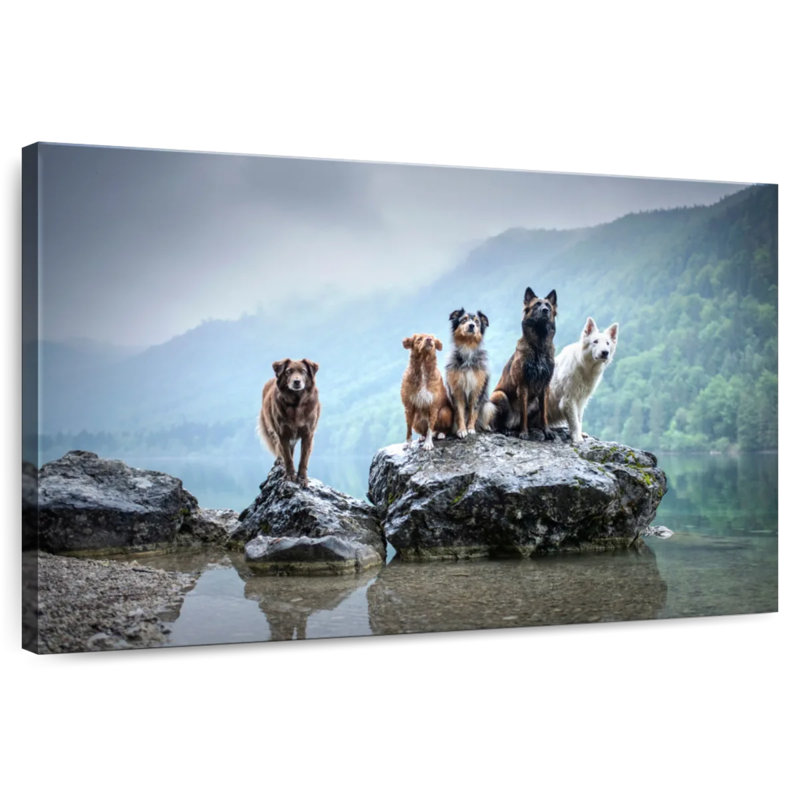 Brampt Dog Alliance, 8" H x 12" W