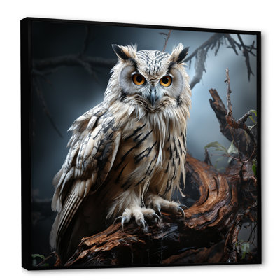 Nocturnal Owl Portrait II - Owl Wall Art