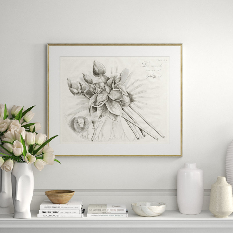 Malaberica Brittanica 4 Giclee Print by Soicher Marin Archives