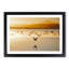 Birds on the Beach - Framed Print-55501128-55501130