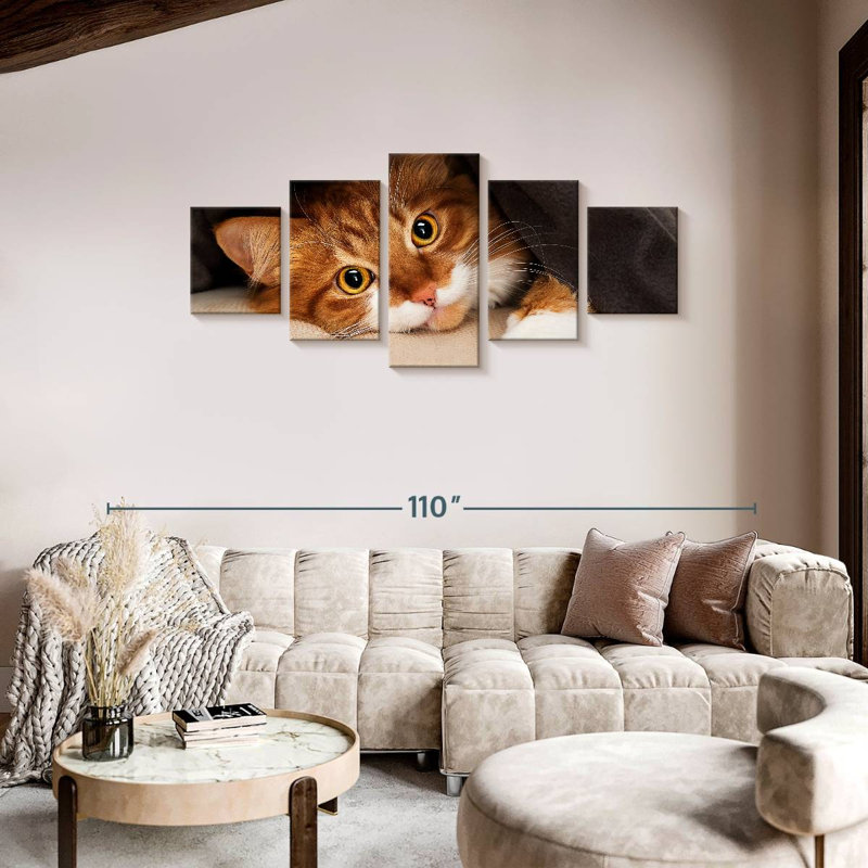 Chat douillet, H 36 po x l 80 po