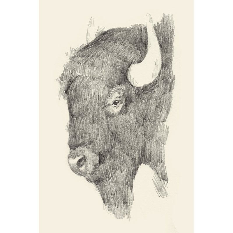 Buffalo Sketch II by Jacob Green - Wrapped Canvas Print, 46cm H x 30cm W
