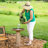 Ashik Freestanding Ceramic Outdoor Bird Bath with UV-Resistant Brown Lava Finish