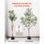 Faux Olive Tree Tree in Pot-435290239