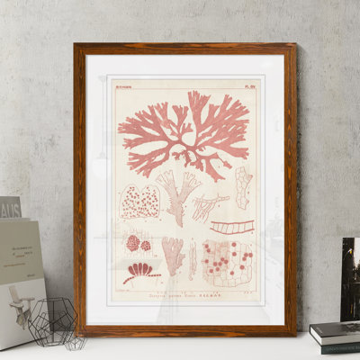 " Antique Coral Seaweed III " by Paul Cezanne Acrylic Painting