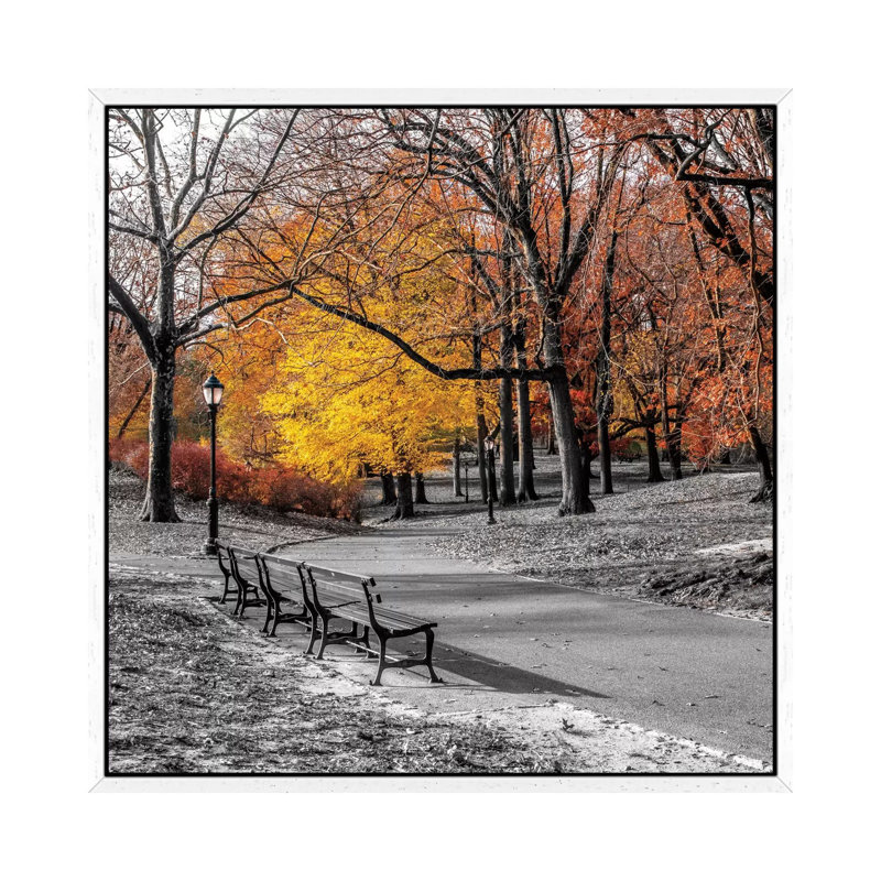 Park Pretty I by Assaf Frank - Print on Canvas, White Framed Canvas, 45.72 cm H x 45.72 cm W