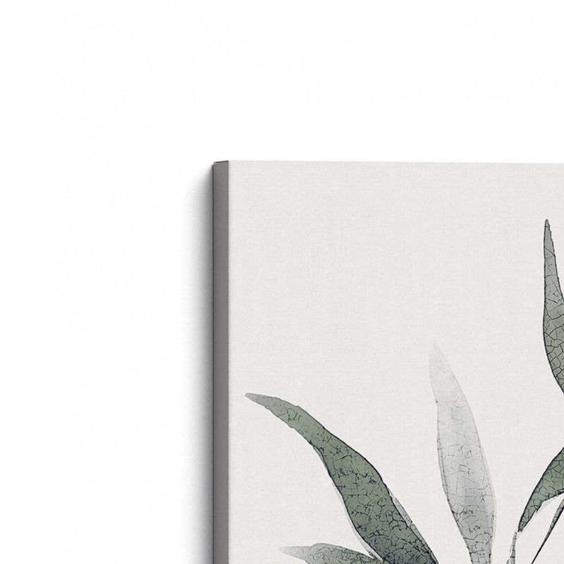 Monicolore Botanica V3 par Golden Glow Interiors, Toile tendue, H 18 po x l 12 po x P 1,25 po