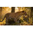 Panthera Solid Wood Bed Frame with Artistic Patterned Headboard-1893952958-1893952953