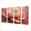 Pivoine rose et blanche - ensemble d'art mural pivoine-1628485612