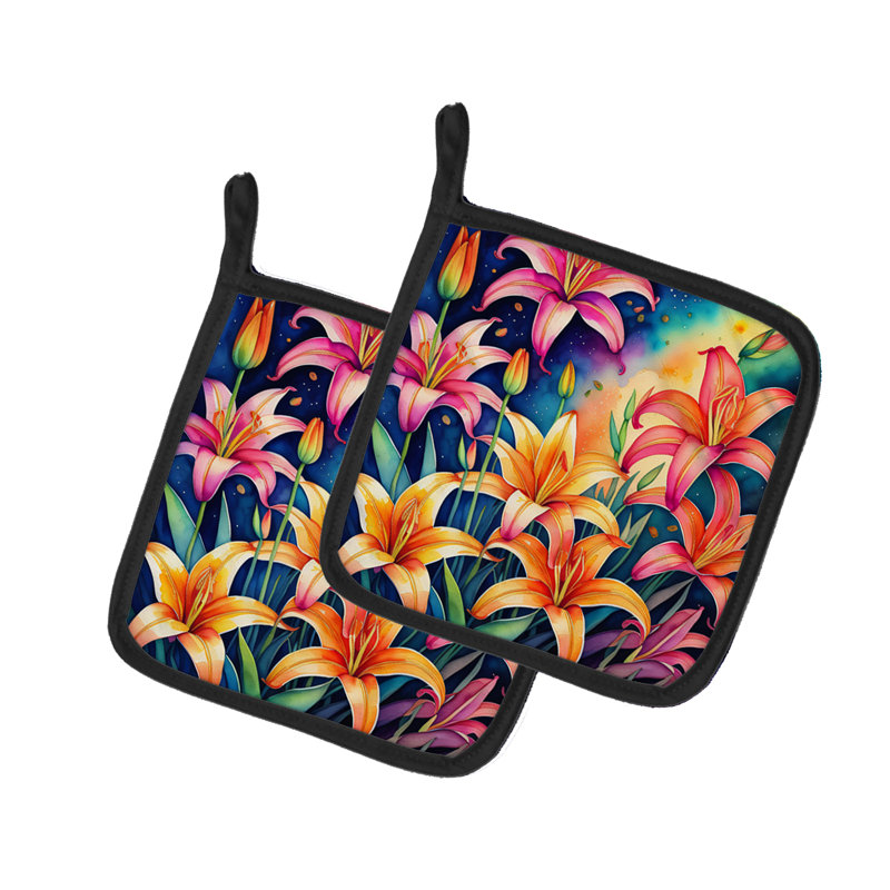 Paire de porte-casseroles lys colorés